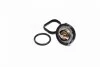 <strong>Термостат DODGE/ FIAT/ JEEP (вир-во Vernet) VERNET TH7311.95J (фото 2)</strong>
