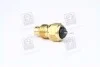 <strong>Датчик температури охолоджувальної рідини VERNET WS2504 (фото 1)</strong>