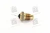 <strong>Датчик температури охолоджувальної рідини VERNET WS2509 (фото 1)</strong>