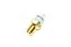 <strong>Перемикач тиску води VERNET WS2623 (фото 4)</strong>