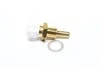 <strong>Датчик температури охолоджувальної рідини VERNET WS2674 (фото 1)</strong>