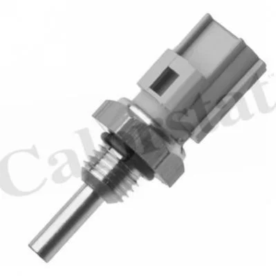 <strong>Датчик температури охолоджувальної рідини VERNET WS3079 (фото 1)</strong>