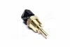 <strong>Датчик температури охолоджувальної рідини VERNET WS3101 (фото 1)</strong>