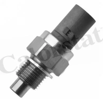 <strong>Датчик температури охолоджувальної рідини VERNET WS3106 (фото 1)</strong>