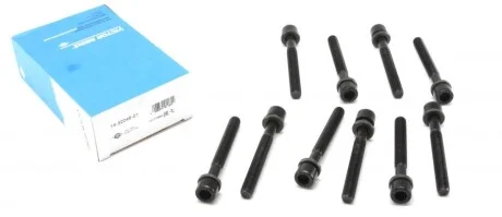Болти головки блоку для Audi, Volkswagen, Seat VICTOR REINZ 14-32046-01 фото товару