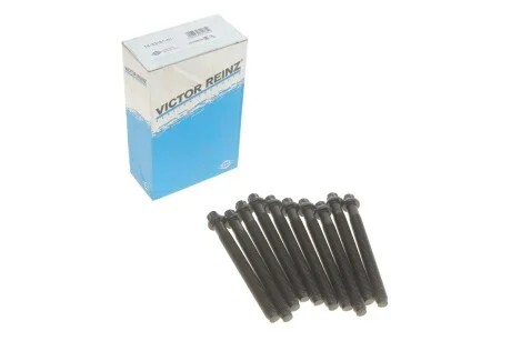 Болти головки блоку для Renault, Dacia, Volvo, Mitsubishi VICTOR REINZ 14-32161-01 фото товару