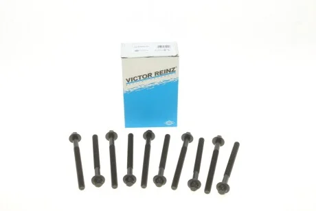Болти головки блоку для Renault, Nissan, Mercedes, Dacia VICTOR REINZ 14-32230-01 фото товару