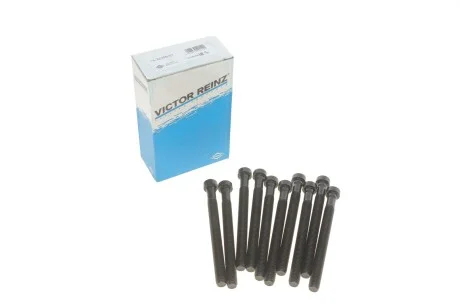 Болти головки блоку для Audi, Skoda, Seat, Volkswagen VICTOR REINZ 14-32299-01 фото товару