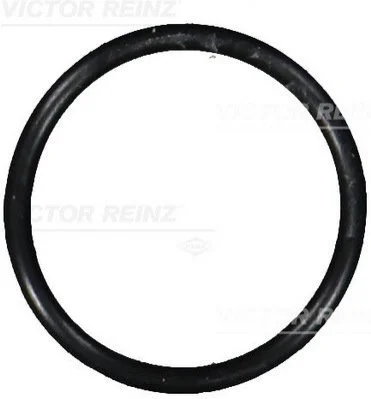 <strong>Кільце ущільнююче VICTOR REINZ 407610100 (фото 1)</strong>