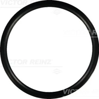 Прокладка, впускний колектор для Renault, Volkswagen, Seat, Skoda, Hyundai VICTOR REINZ 40-76752-00 фото товару