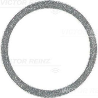 Уплотнительное кольцо, резьбовая пр; Уплотняющее к VICTOR REINZ 417106500 (фото 1)