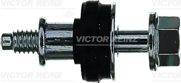 <strong>Болт, кришка головки циліндра VICTOR REINZ 70-39583-00 (фото 1)</strong>