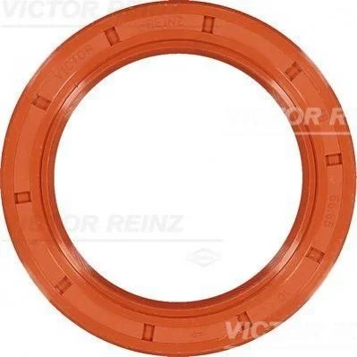 <strong>Кільце ущільнююче VICTOR REINZ 81-25789-00 (фото 1)</strong>