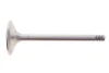 <strong>Клапан впускний VW Golf (91-97),T4/Seat Toledo (91-99) VIKA 11091793201 (фото 1)</strong>