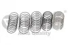 <strong>Комплект поршневых колец 2,4L/3,0L 81 мм (на 6 поршней) Audi A4 (01-04),A6 (97-05) vika VIKA 11981631901 (фото 1)</strong>