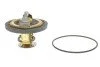 <strong>Термостат Ducato/Jumper/Boxer 2.5/2.8 D/TDI/JTD 90- (82 C) WAHLER 4174.82D (фото 1)</strong>