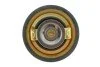 <strong>Термостат Ducato/Jumper/Boxer 2.5/2.8 D/TDI/JTD 90- (82 C) WAHLER 4174.82D (фото 2)</strong>
