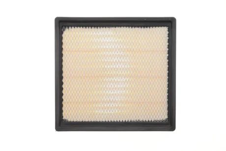 Фільтр повітря для WIX FILTERS WA10256 фото товару