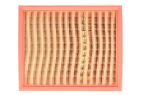 Фільтр повітряний для Renault WIX FILTERS WA6734 фото товару