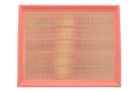 Фільтр повітряний для Renault WIX FILTERS WA9593 фото товару