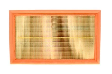 Фільтр повітряний для Citroen, Peugeot, DS WIX FILTERS WA9595 фото товару