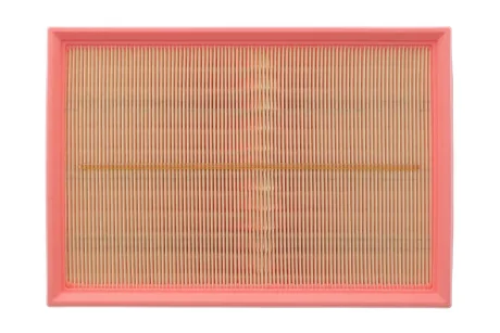 Фільтр повітряний для Opel, Nissan, Renault WIX FILTERS WA9670 фото товару