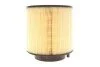 <strong>Фільтр повітряний WIX FILTERS WA9703 (фото 1)</strong>