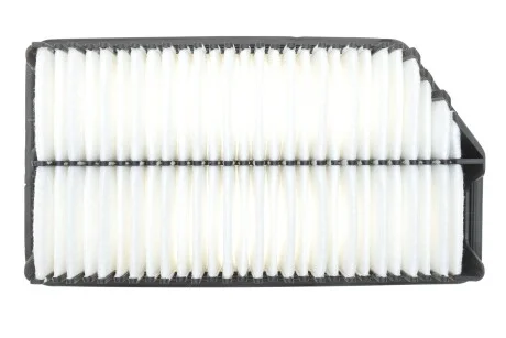 Фільтр повітряний для KIA, Hyundai WIX FILTERS WA9762 фото товару