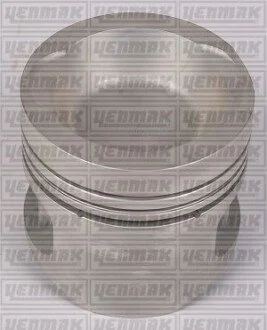 YENMAK Поршень с кольцами і пальцем (размер отв. 75.01 / STD) (2G) для Yenmak 31-03299-000 фото товару