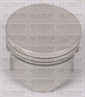 YENMAK Поршень с кольцами і пальцем RENAULT Kangoo 1.2 (размер отв. 69 / STD) (DF 7 700/701/702/706/710/720/722/726/720/730/726) для Yenmak 31-04155-000 фото товару