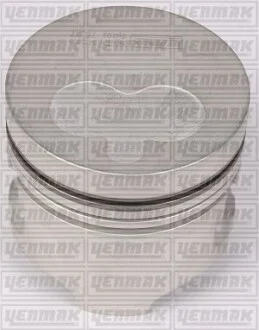 YENMAK Поршень с кольцами і пальцем (размер отв. 80 / STD) (F8 Q.706 64PS) для Yenmak 31-04161-000 фото товару