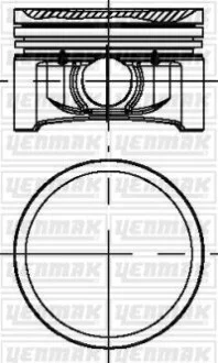 YENMAK Поршень с кольцами і пальцем (размер отв. 69.00/ STD) RENAULT Clio, Logan, 1,2 (D4F 740-728-730 75PS) для Yenmak 31-04184-000 фото товару