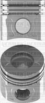 YENMAK Поршень с кольцами і пальцем (размер отв. 69,60/STD) OPEL Astra J 1.3CDTI -15 (4цл.) (A 13 DTE / Multijet Euro5) для Yenmak 31-04198-000 фото товару