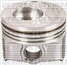 YENMAK Поршень с кольцами і пальцем (размер отв. 81.01 / STD) (BDJ EURO 3) для Yenmak 31-30011-000 фото товару