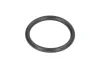 <strong>Ущільнююче кільце коробки передач 17xx2мм 2 HL 100 T 7113 L T 7200 ZF 0634306198 (фото 1)</strong>