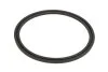 <strong>Ущільнююче кільце коробки передач T 7200 ZF 0734307170 (фото 1)</strong>